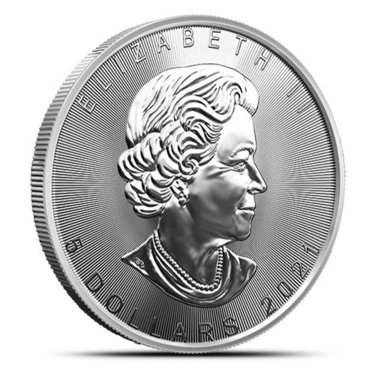 Buy 2021 1 oz Canadian Platinum Maple Leaf Coin (BU)