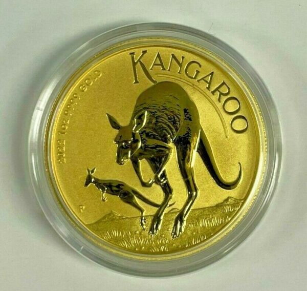 2022 1 oz Australian Gold Kangaroo Coin (BU)